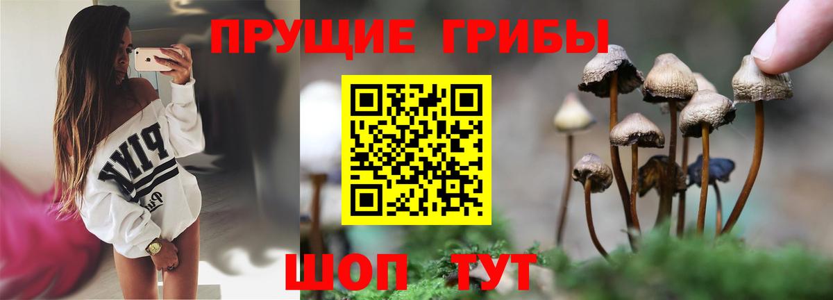 Галлюциногенные грибы прущие грибы  Псилоцибиновые грибы Magic Shrooms  Асино  Вход с VPN 